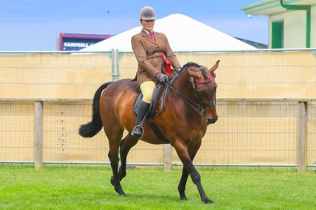 3973314823 06 23 Royal Highland Show Edinburgh horse riding National