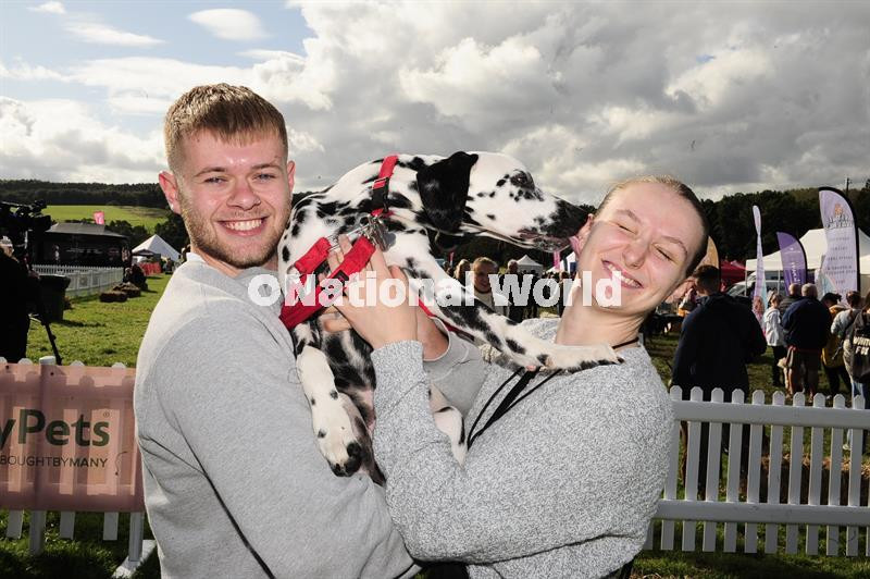 39864213Dog Fest at Harewood House sat 23092023 picture Steve Riding