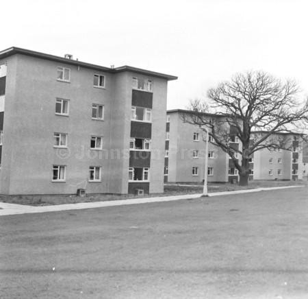 20036194New council flats in Elm Grove, Alloa, Ayrshire, in October