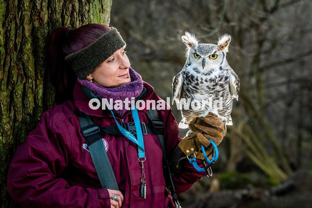 39910120-Staff at the National Centre for Birds of Prey (NCBP) Duncombe