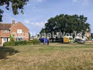 39514603-The murder investigation scene in Botley Drive, Leigh Park on ...