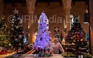 39294301-15th December 2021 St John s Christmas Tree Festival 2021 ...