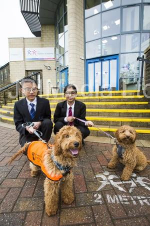 39146735-Cockapoo therapy dogs Monty, left, and Orla at Halifax Academy ...