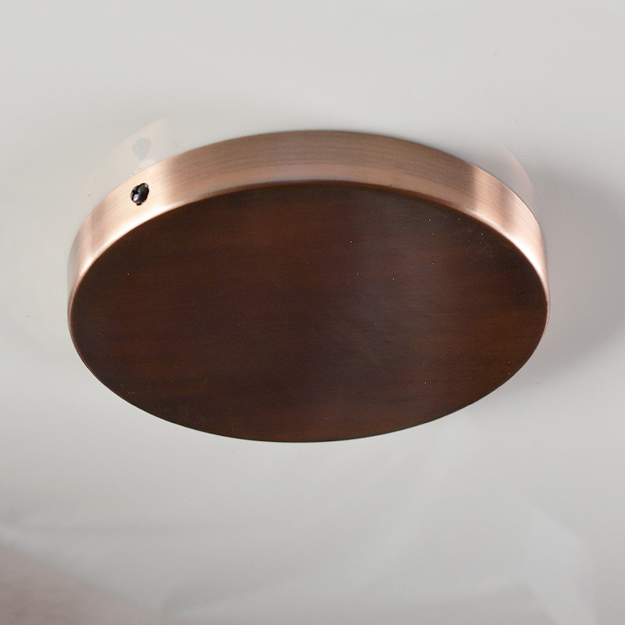 Half-Circle Wall-Mounted Copper Finish Wire Plate and Cup Rack