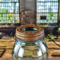 Mason Jar Lid - Rust