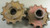 70502319 AGCO Allis-Chalmers Sprocket