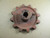 70504419 AGCO Allis-Chalmers Sprocket