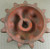 70532644 AGCO Allis-Chalmers Sprocket