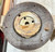 70226226 AGCO 226226 Allis-Chalmers AM2921-5 FLYWHEEL and Ring GEAR.