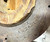 70226226 AGCO 226226 Allis-Chalmers AM2921-5 FLYWHEEL and Ring GEAR.