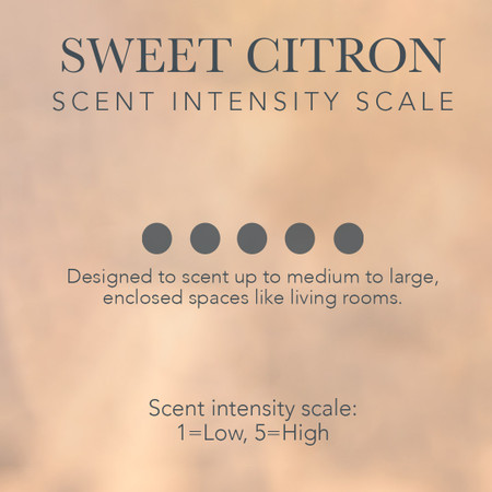 Sweet Citron Soy + Coconut Wax Candle & Essential Oil Burner 255g