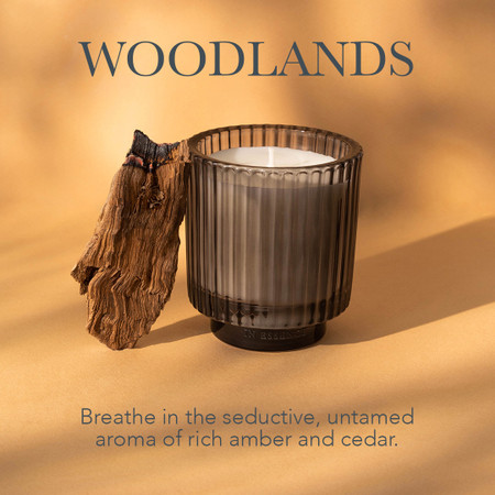 Woodlands Soy + Coconut Wax Candle & Essential Oil Burner 255g