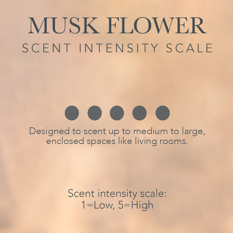 Musk Flower Soy + Coconut Wax Candle Sample (GWP)