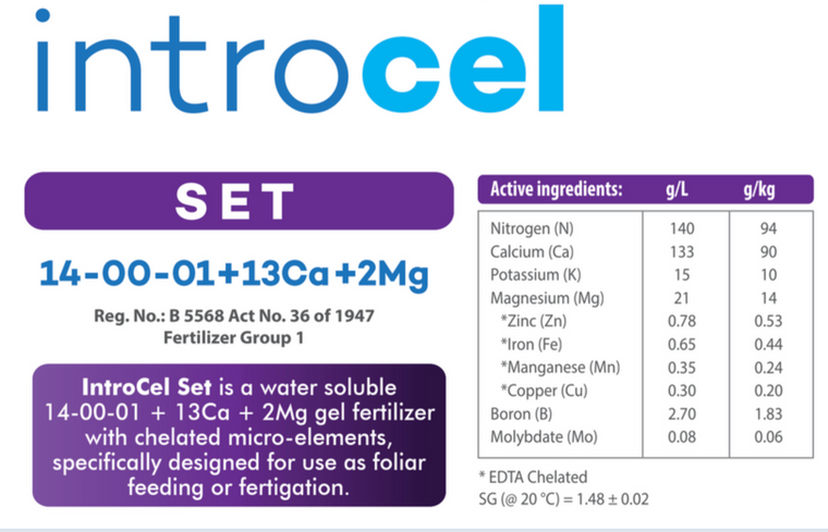 Introcel Set label