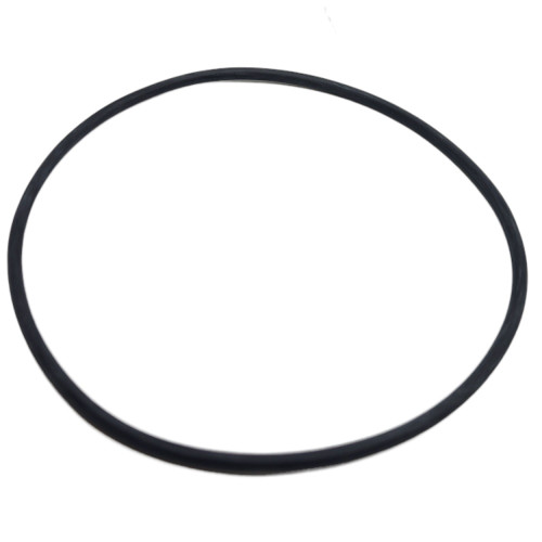 925259 - O-Ring