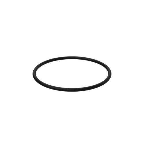 968971-O Ring