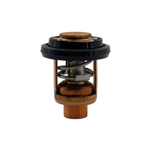 6E5-12411-02 - Genuine Yamaha Thermostat