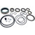 18-2645-1 Bravo Lower Seal Kit