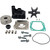 06193-ZY6-A03 - Genuine Honda BF115-BF150 Pump Rebuild Kit