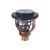 6AW-12411-00 - Genuine Yamaha Thermostat