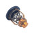 6D9-12411-00 - Genuine Yamaha Thermostat