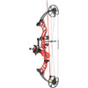 Cajun Sucker Punch Pro RTF Bowfishing Package Red 50 lbs. RH