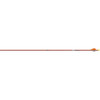 Easton 5mm FMJ Autum Orange Arrows 250 2 in. Bully Vanes 6 pk.