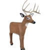 Delta McKenzie Backyard 3D Target Baby Daddy Buck