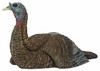 Avian X Lay Down Hen Turkey Decoy