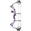 Diamond Prism Bow Package Purple 18-30 in. 5-55 lbs. LH