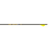 Gold Tip Hunter Pro Arrows 340 Raptor Vanes 6 pk.