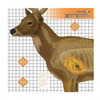 Champion Xray Deer Target 6 Pack