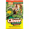 Evolved Habitats Provide Clover Food Plot 2 Pound Bag w/ Chicory