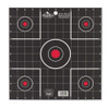 Birchwood Dirty Bird 12" Sight-In Square Target 12 Pack