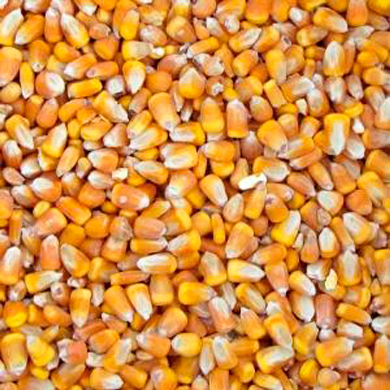 Deer Corn 50lb Bag