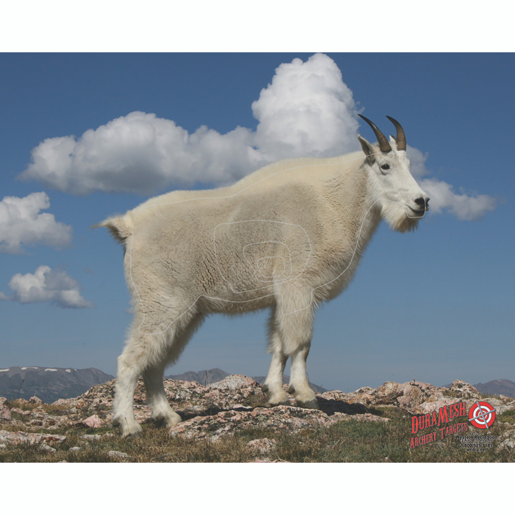 DuraMesh Archery Target Mountain Goat