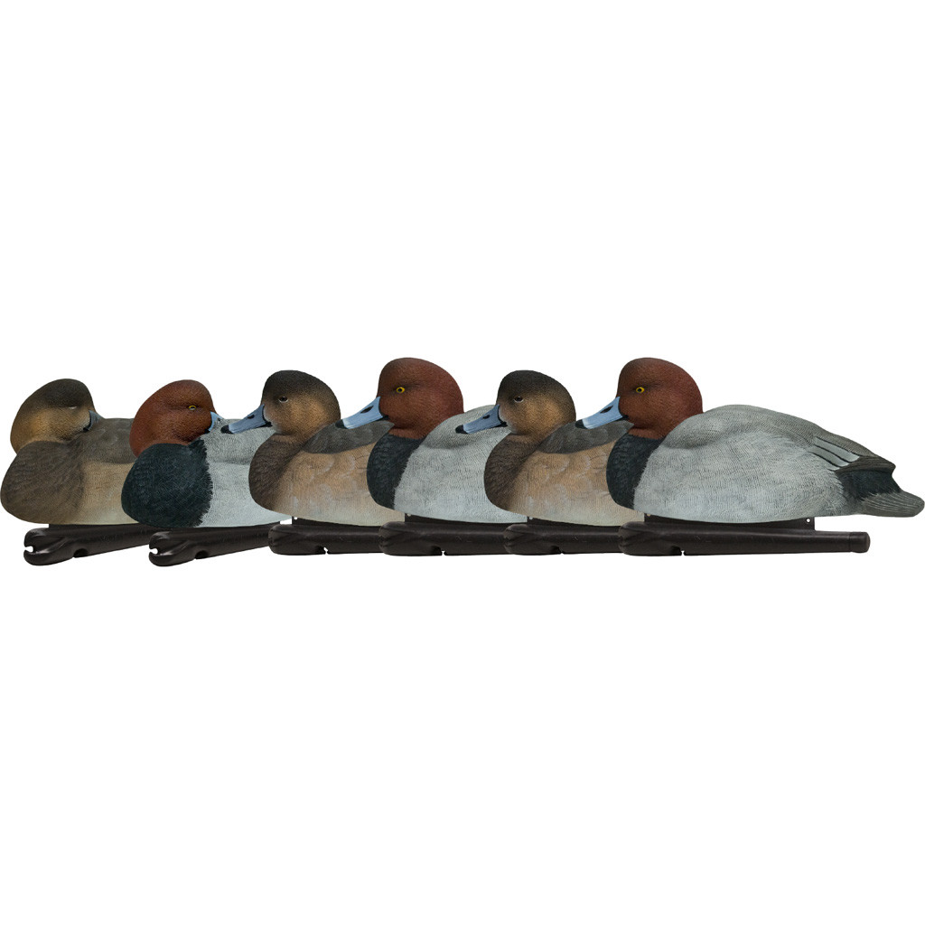 AvianX Top Flight Duck Decoys Redheads 6 pk.
