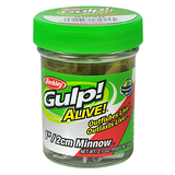 Berkley Gulp Alive! 1" Minnows Jar