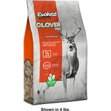 Evolved Clover Seed 4 lb.