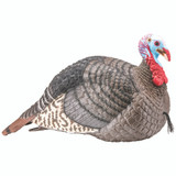 Hunters Specialties Strut-Lite Turkey Decoy Jake