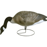 Flambeau Field Pack Canada Goose Decoy 6 pk.