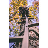 Trophy Treestands Gladiator Sticks 20 ft.