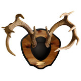 Mountain Mikes Plaque Master Deer Kit
