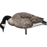Avian X AXP Honkers Fusion Pack Canada Geese