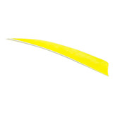 Trueflight Shield Cut Feathers 5 in. 100 pk.