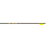 Gold Tip Hunter Pro Arrows 340 Raptor Vanes 6 pk. Gold Tip Hunter Pro Arrows 340 Raptor Vanes 6 pk.