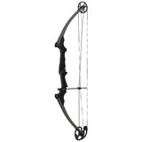 Genesis Bow  Ash RH