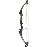 Genesis Bow  Ash RH