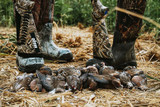 Dove Hunting