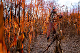 PA Shed Hunting